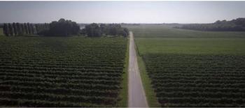 assets/userfiles/bilder/blog/2020-11-Falstaff_praemierter_Prosecco/03_Tenuta.JPG