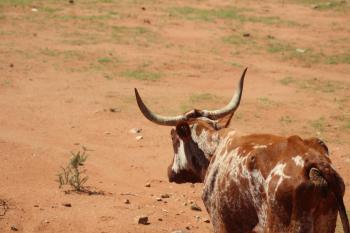 assets/userfiles/bilder/blog/2020-03-Suedafrika-Namibia/7e9a69d8-90ca-4b95-b094-b83e92a926ea.JPG
