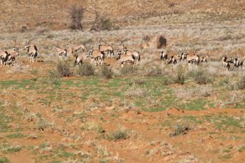 assets/userfiles/bilder/blog/2020-03-Suedafrika-Namibia/fec5aa37-412b-4bcc-a7d7-5dc4038525eb.JPG